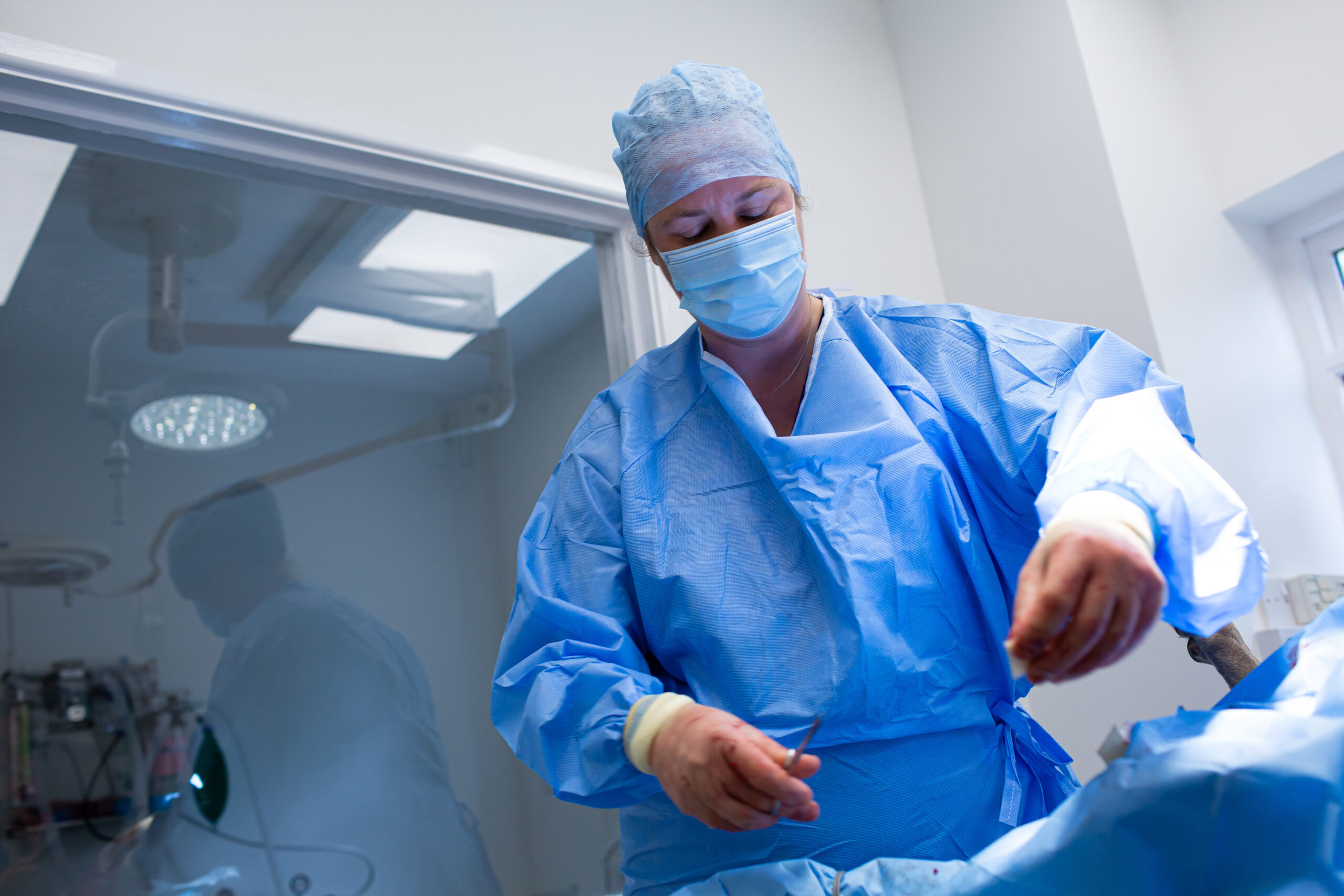 CASTLE-VETS-2022-650-scaled