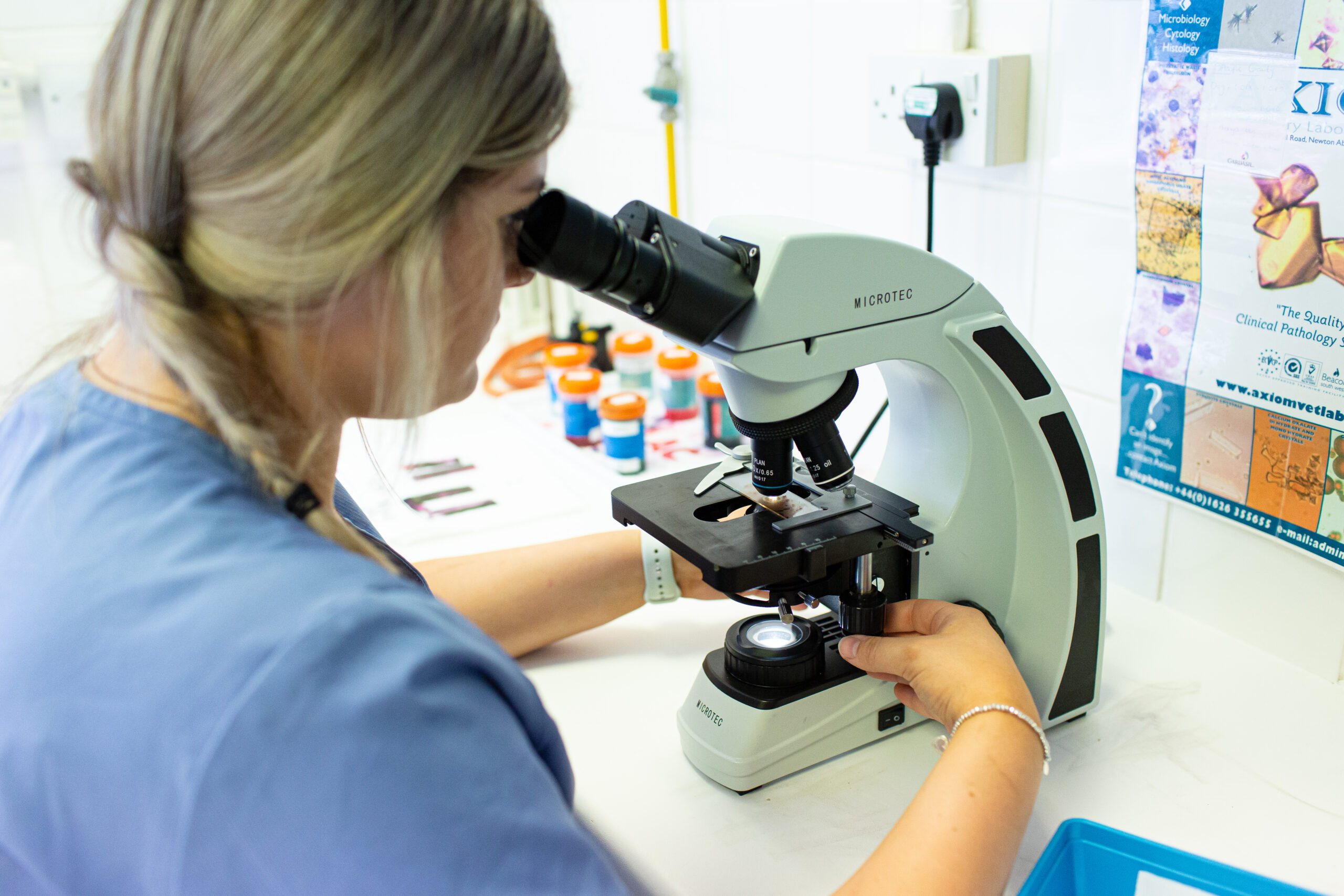 CASTLE-VETS-2022-880-scaled